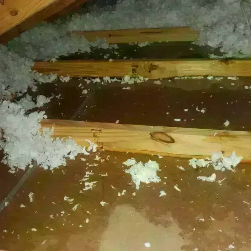 Attic Water Damage in San Joaquin, CA