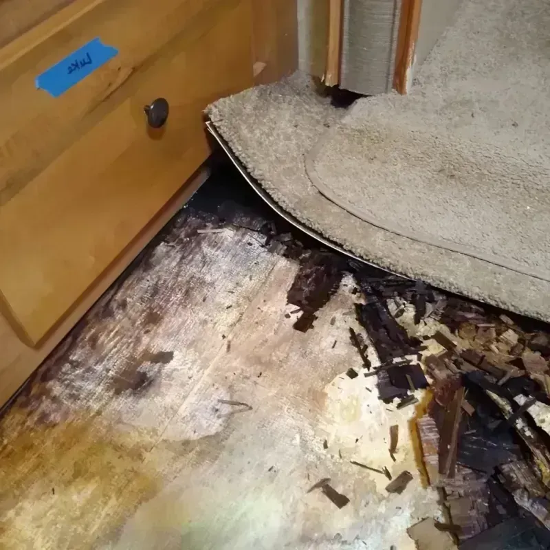 Best Wood Floor Water Damage Service in San Joaquin, CA